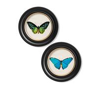Exceptional Art c.1836 Tropical Butterflies - Round Frames - 44 x 44cm - Black - Collection of 2