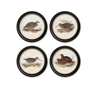 Exceptional Art c.1837's British Game Birds - Round - 44 x 44cm - Black - Collection of 4