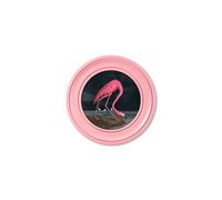 Exceptional Art c.1838 Audubon's Flamingo - Dark - Round Frame Pink - 44 x 44cm - Oxford Round