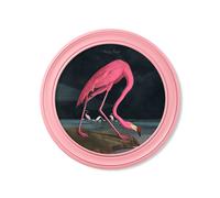 Exceptional Art c.1838 Audubon's Flamingo - Dark - Round Frame Pink - 70 x 70cm - Oxford Round