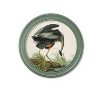 Exceptional Art c.1838 Audubon's Great Blue Heron in Green Frame - 70 x 70cm - Oxford Round