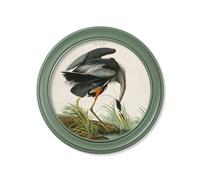 Exceptional Art c.1838 Audubon's Great Blue Heron in Green Frame - 96 x 96cm - Oxford Round