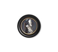 Exceptional Art c.1838 Audubon's Owls - Round Frame - 44 x 44 cm - Black - Snowy Owl