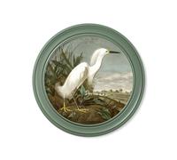 Exceptional Art c.1838 Audubon's Snowy Heron in Green Frame - 120 x 120cm - Oxford Round