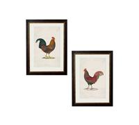 Exceptional Art c.1838 Junglefowl - 38 x 50cm - Black - Set of 2
