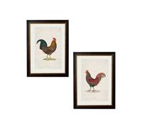 Exceptional Art c.1838 Junglefowl - 50 x 70cm - Black - Set of 2