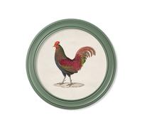 Exceptional Art c.1838 Junglefowl in Round Frames Green - 70 x 70cm - Green - Left Facing Junglefowl