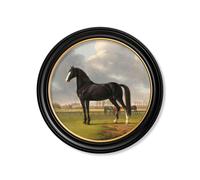 Exceptional Art c.1840 Horses - Round Frame - 96 x 96cm - Black - Horse Looking Left