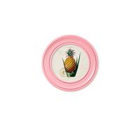 Exceptional Art c.1843 Pineapple Plant - Round Frame Pink - 44 x 44cm - Pink - Framed Print