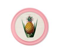 Exceptional Art c.1843 Pineapple Plant - Round Frame Pink - 70 x 70cm - Pink - Framed Print