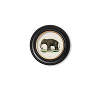Exceptional Art c.1846 Elephants in Round Frame - 44 x 44cm - Black - Left Facing Elephant