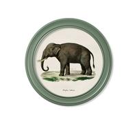 Exceptional Art c.1846 Elephants in Round Frame Green - 70 x 70cm - Green - Left Facing Elephant