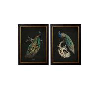 Exceptional Art c.1847 Peacocks - Dark - 50 x 70cm - Black - Set of 2