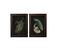 Exceptional Art c.1847 Peacocks - Dark - 70 x 95cm - Black - Set of 2