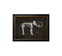 Exceptional Art c.1870 Anatomical Skeletons - Dark - 38 x 50cm - Black - Mammoth Skeleton