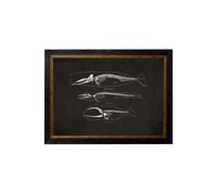 Exceptional Art c.1870 Anatomical Skeletons - Dark - 38 x 50cm - Black - Whale Skeletons