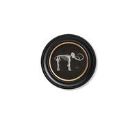 Exceptional Art c.1870 Anatomical Skeletons - Dark - Round Frames - 44 x 44cm - Black - Mammoth Skeleton