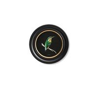 Exceptional Art c.1870 Kingfisher and Bee Eater - Black - 44 x 44cm - Black - Kingfisher