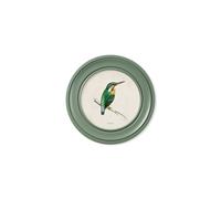 Exceptional Art c.1870 Kingfisher and Bee Eater - Round Frame Green - 44 x 44cm - Green - Kingfisher
