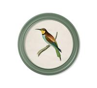 Exceptional Art c.1870 Kingfisher and Bee Eater - Round Frame Green - 70 x 70cm - Green - Bee Eater