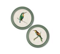 Exceptional Art c.1870 Kingfisher and Bee Eater - Round Frame Green - 70 x 70cm - Green - Collection of 2