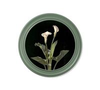 Exceptional Art c.1874 George Cochran Lambdin Lillys - Round Frame Green - 70 x 70cm - Green - Calla Lilly