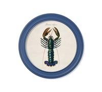 Exceptional Art c.1876 Marine Lobster in Round Frames Blue - 120 x 120cm - Oxford Round
