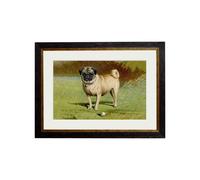 Exceptional Art c.1881 Dogs - 38 x 50cm - Black - Pug