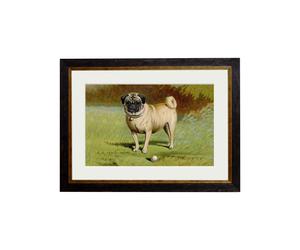 Exceptional Art c.1881 Dogs - 38 x 50cm - Black - Pug