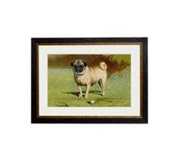 Exceptional Art c.1881 Dogs - 70 x 95cm - Black - Pug
