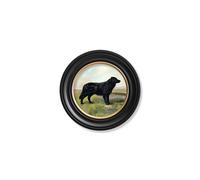 Exceptional Art c.1881 Working Dogs - Round Frame - 44 x 44cm - Black - Black Labrador