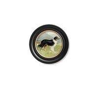 Exceptional Art c.1881 Working Dogs - Round Frame - 44 x 44cm - Black - Border Collie