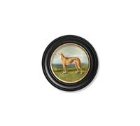 Exceptional Art c.1881 Working Dogs - Round Frame - 44 x 44cm - Black - Grey Hound