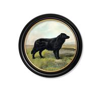 Exceptional Art c.1881 Working Dogs - Round Frame - 70 x 70cm - Black - Black Labrador