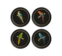 Exceptional Art C.1884 Collection of Macaws in Round Frames - Black - 44 x 44cm - Black - Collection of 4
