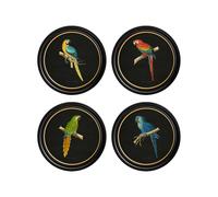 Exceptional Art C.1884 Collection of Macaws in Round Frames - Black - 70 x 70cm - Black - Collection of 4