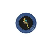 Exceptional Art C.1884 Collection of Macaws in Round Frames Blue - 44 x 44cm - Blue - Blue and Yellow macaw