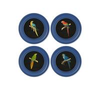 Exceptional Art C.1884 Collection of Macaws in Round Frames Blue - 44 x 44cm - Blue - Collection of 4
