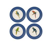 Exceptional Art C.1884 Collection of Macaws in Round Frames Blue - 44 x 44cm - Blue - Collection of 4