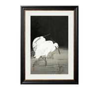 Exceptional Art c.1910 Two Egrets in Reeds - Ohara Koson - 38 x 50cm - York Slim - Two Egrets in Reed