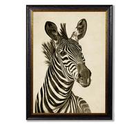 Exceptional Art c1890 Zebra Illustrations - Dark - 38 x 50cm - Black - Right Facing Zebra