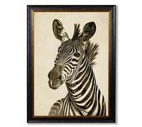 Exceptional Art c1890 Zebra Illustrations - Dark - 70 x 95cm - Black - Left Facing Zebra