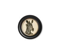 Exceptional Art c1890 Zebra Illustrations in Round Frame - Dark - 44 x 44cm - Black - Right Facing Zebra