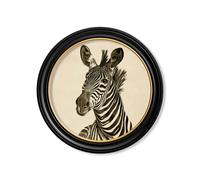 Exceptional Art c1890 Zebra Illustrations in Round Frame - Dark - 70 x 70cm - Black - Left Facing Zebra
