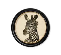 Exceptional Art c1890 Zebra Illustrations in Round Frame - Dark - 96 x 96cm - Black - Left Facing Zebra