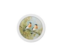Exceptional Art Garden Birds - 30cm White Round Box Frame - 30 x 30cm - White Round Box Frame - Bullfinches