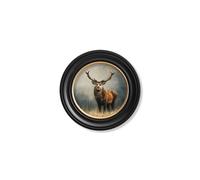 Exceptional Art Highland Stag - Oxford round frame - 44 x 44cm