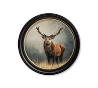 Exceptional Art Highland Stag - Oxford round frame - 70 x 70cm