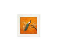 Exceptional Art Peacocks In Saffron Garden - Cream Hurstwood square frame - Right Facing Peacock - 44 x 44 cm