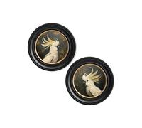 Exceptional Art The Cockatoo Pair - 44 x 44 cm - Oxford Round - Collection of 2